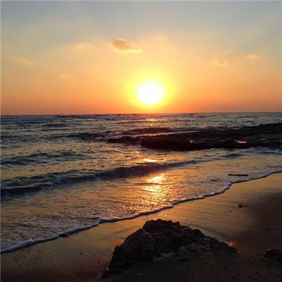 必博app下载地址