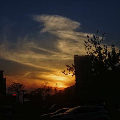 722cc大发彩神app下载