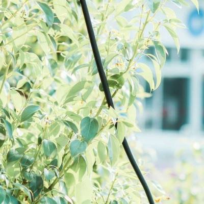 彩神下载手机版