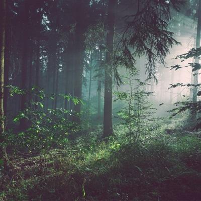 博鱼·体育中国官方入口下载